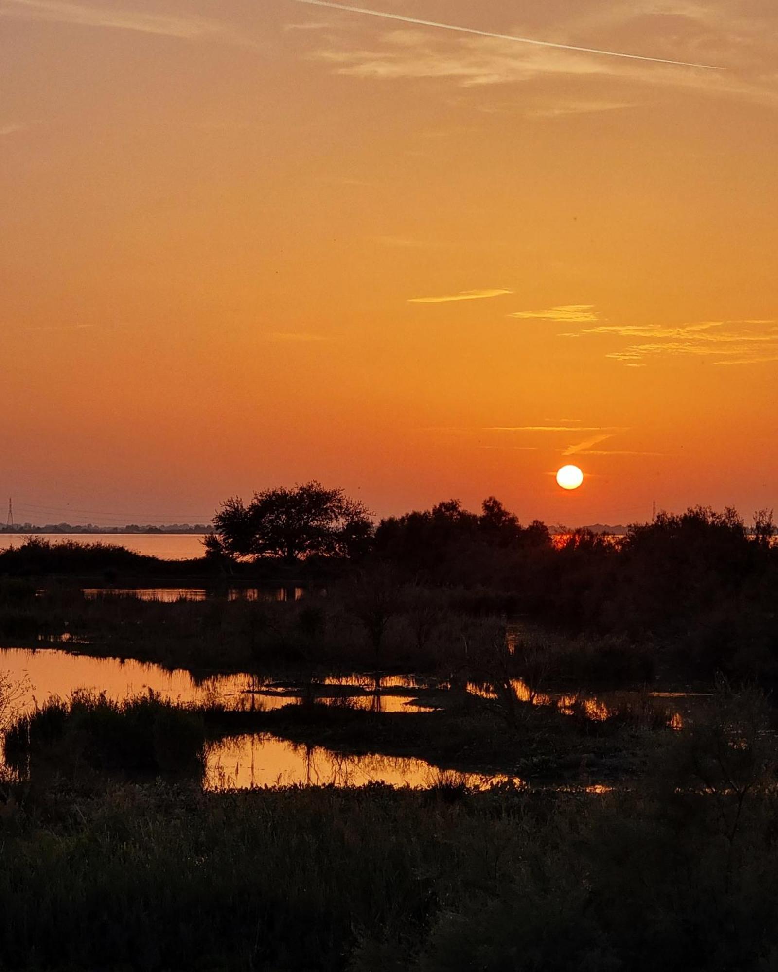 Bed and Breakfast Al Ponticello Comacchio Exterior foto